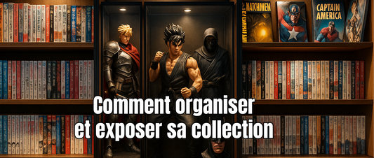 Comment organiser et exposer sa collection sans l'abîmer