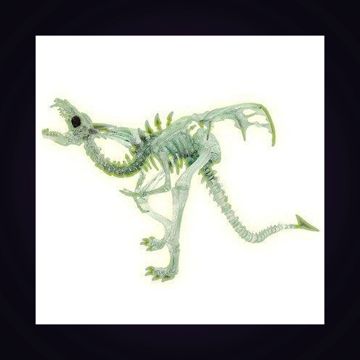 Dragon squelette translucide phosphorescent