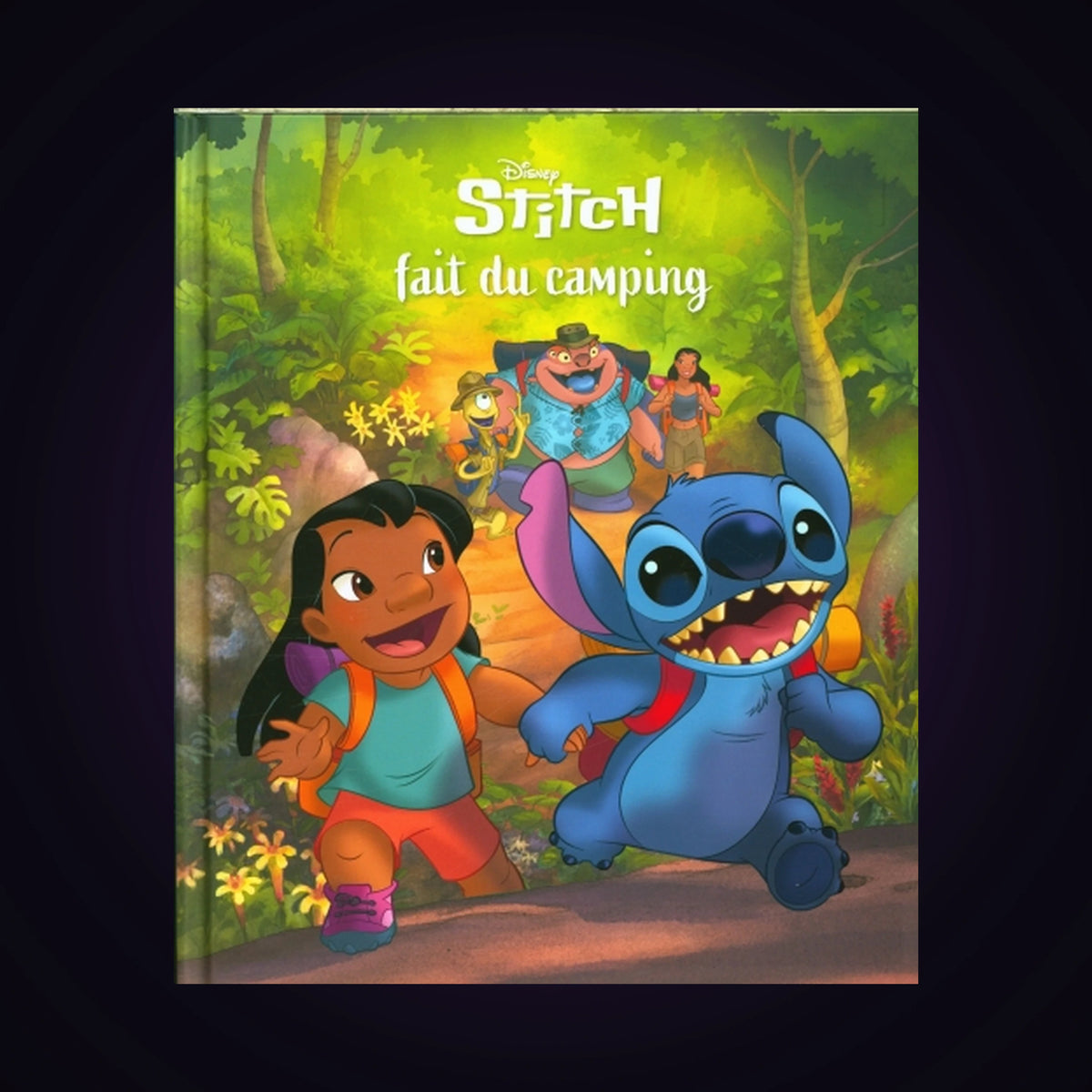 Stitch fait du camping