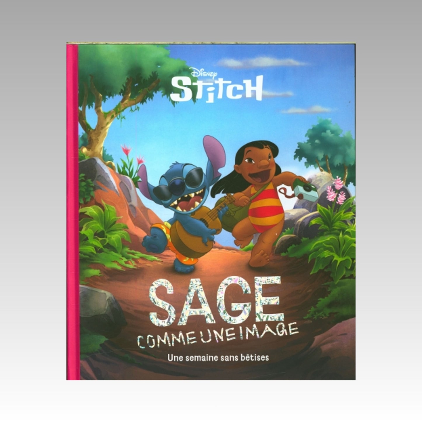 Stitch - Sage comme une image - Une semaine sans bêtises