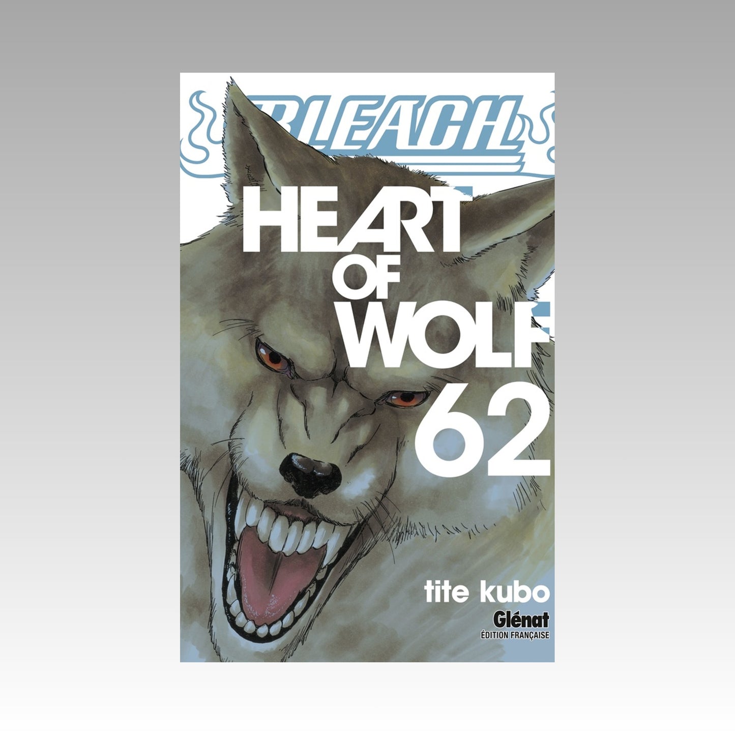 Bleach. Tome 62