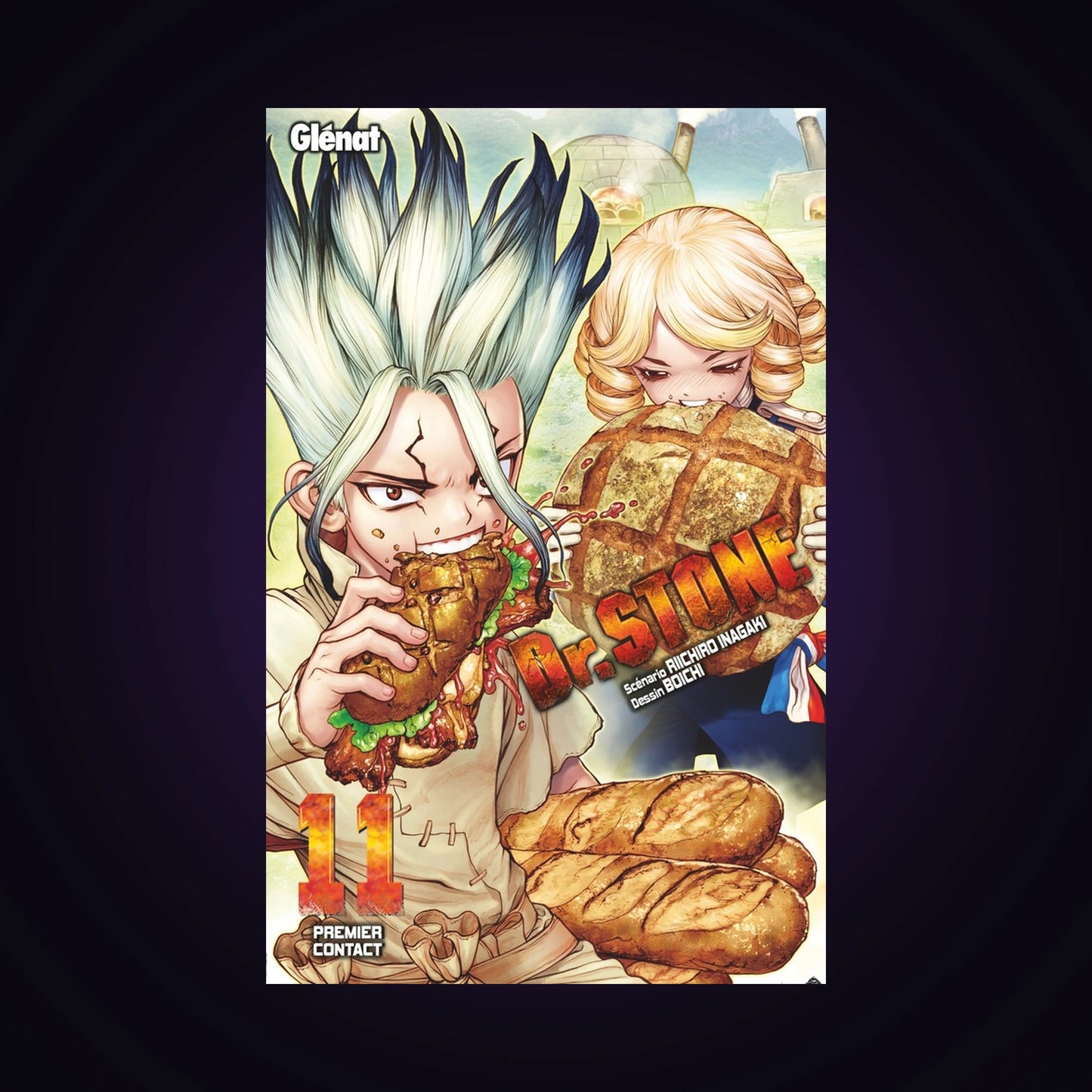 Dr Stone. Tome 11
