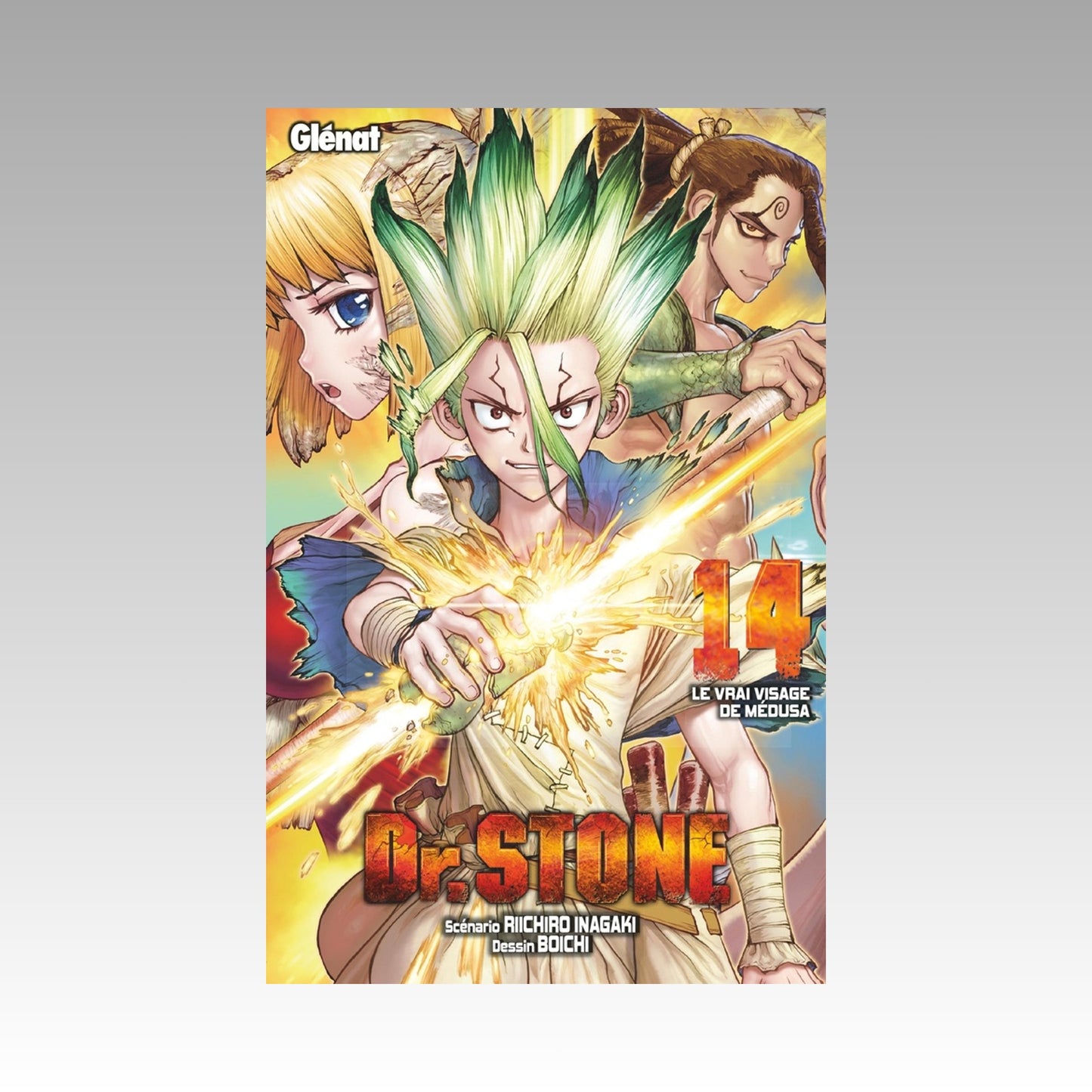 Dr Stone. Tome 14