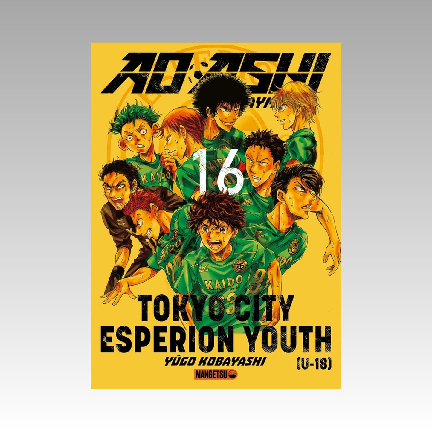 Ao Ashi - Playmaker. Tome 16