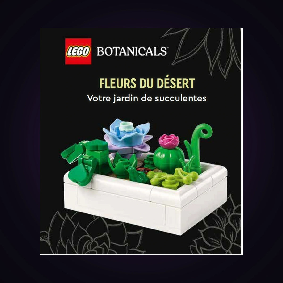 Lego Botanicals - Fleurs du désert - Votre jardin de succulentes