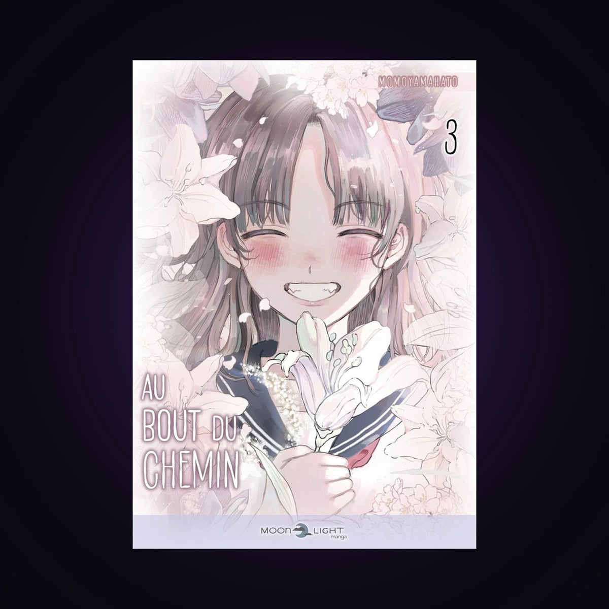 Au bout du chemin. Tome 3
