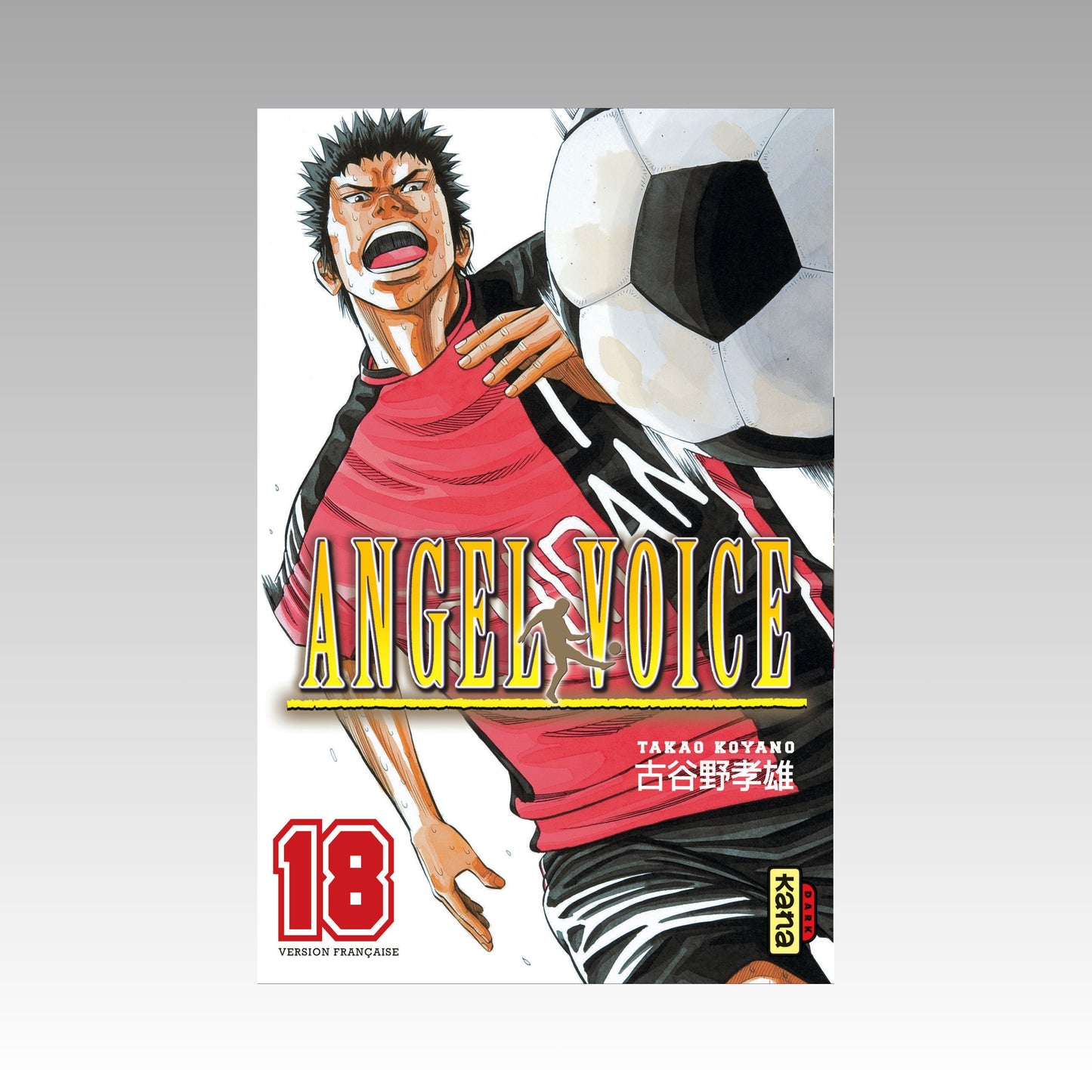 Angel Voice. Tome 18