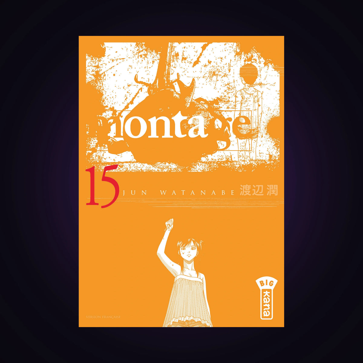 Montage. Tome 15