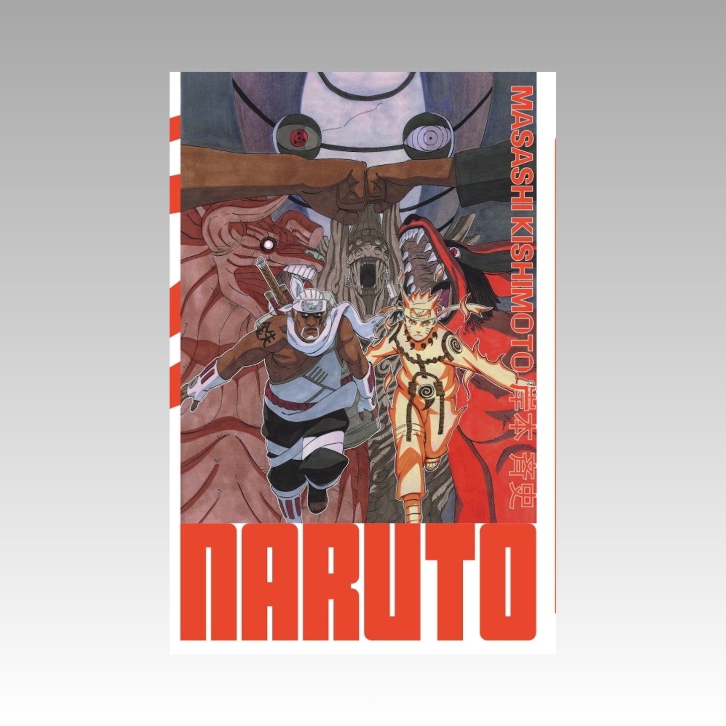 Naruto. Tome 29 - Edition Hokage