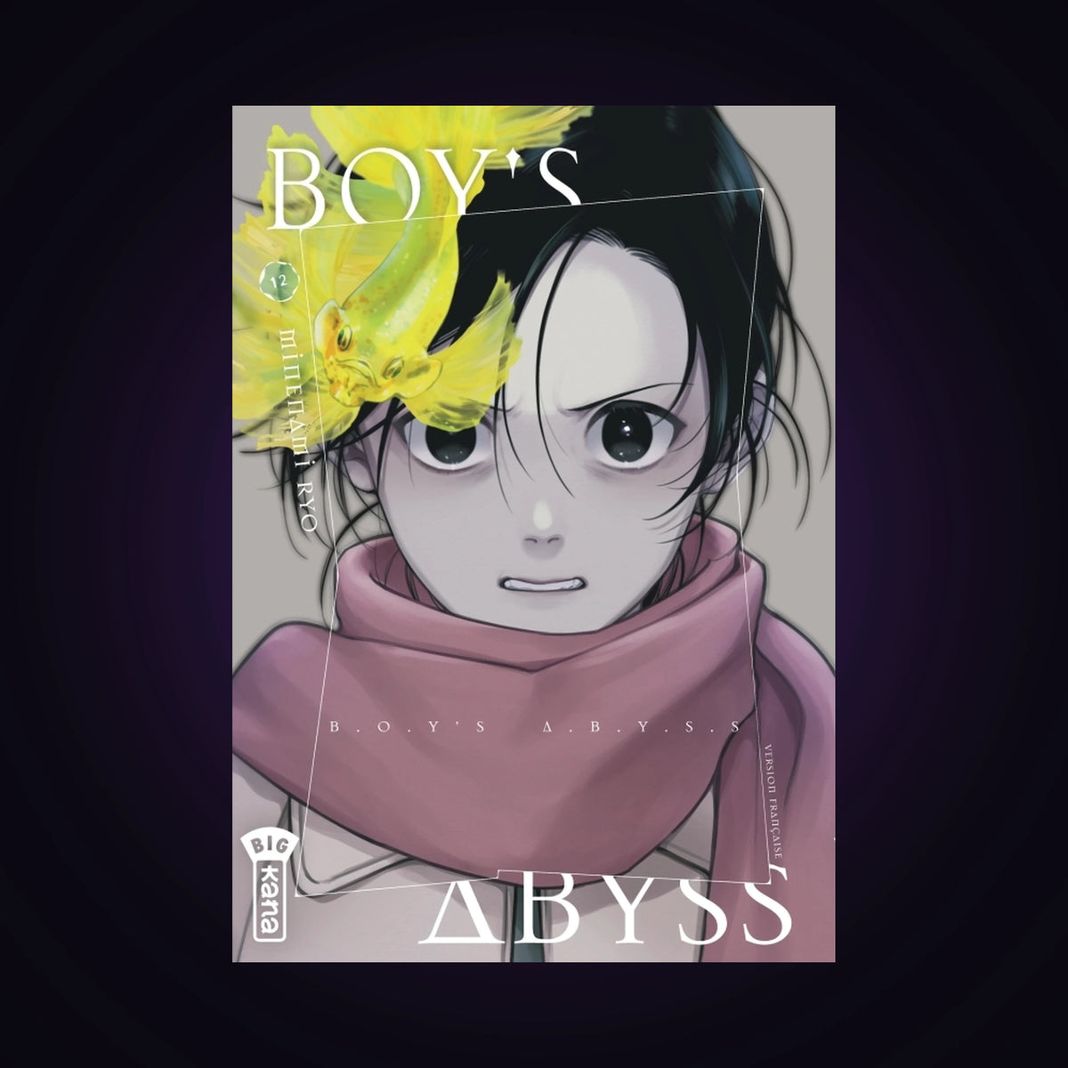 Boy's Abyss. Tome 12