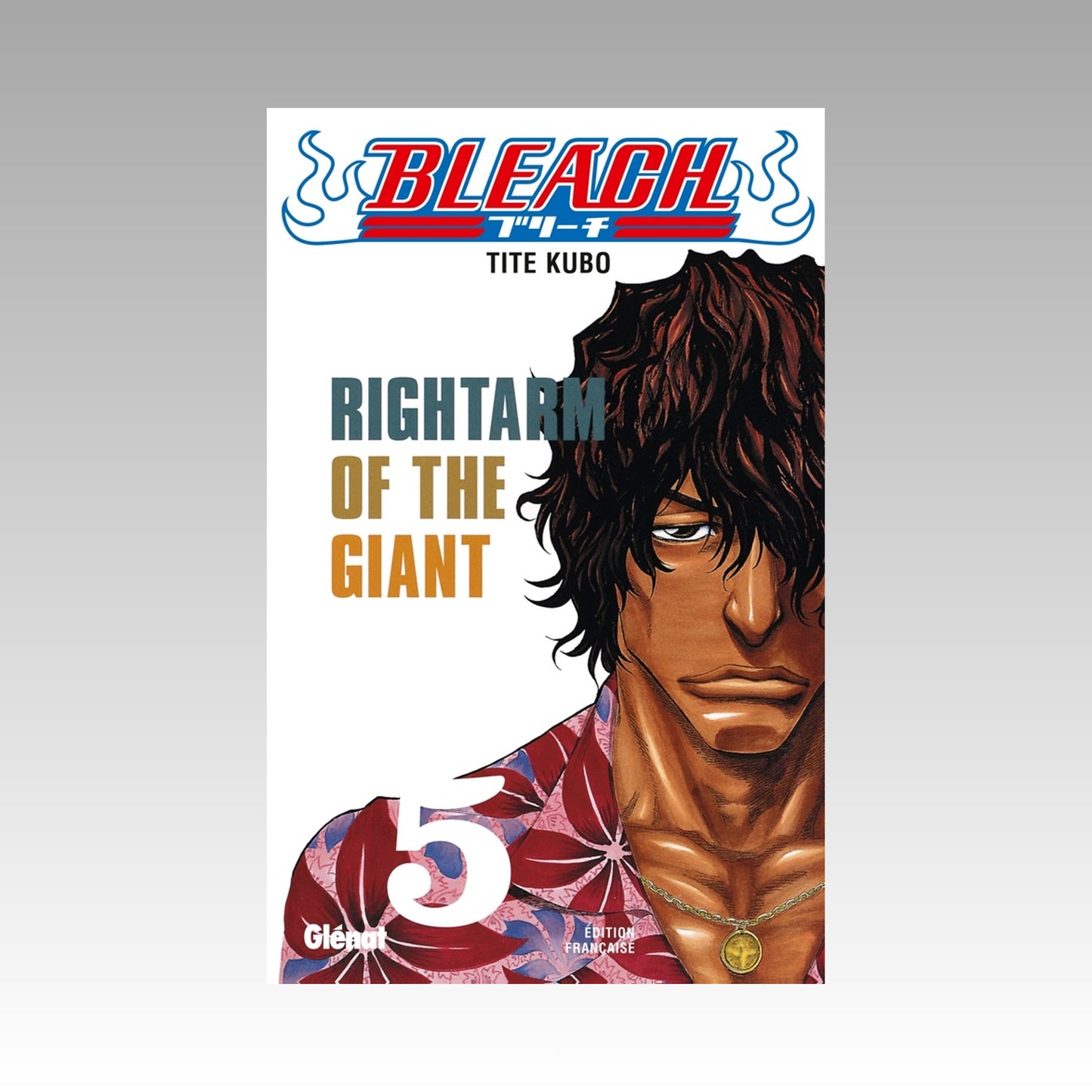 Bleach. Tome 5