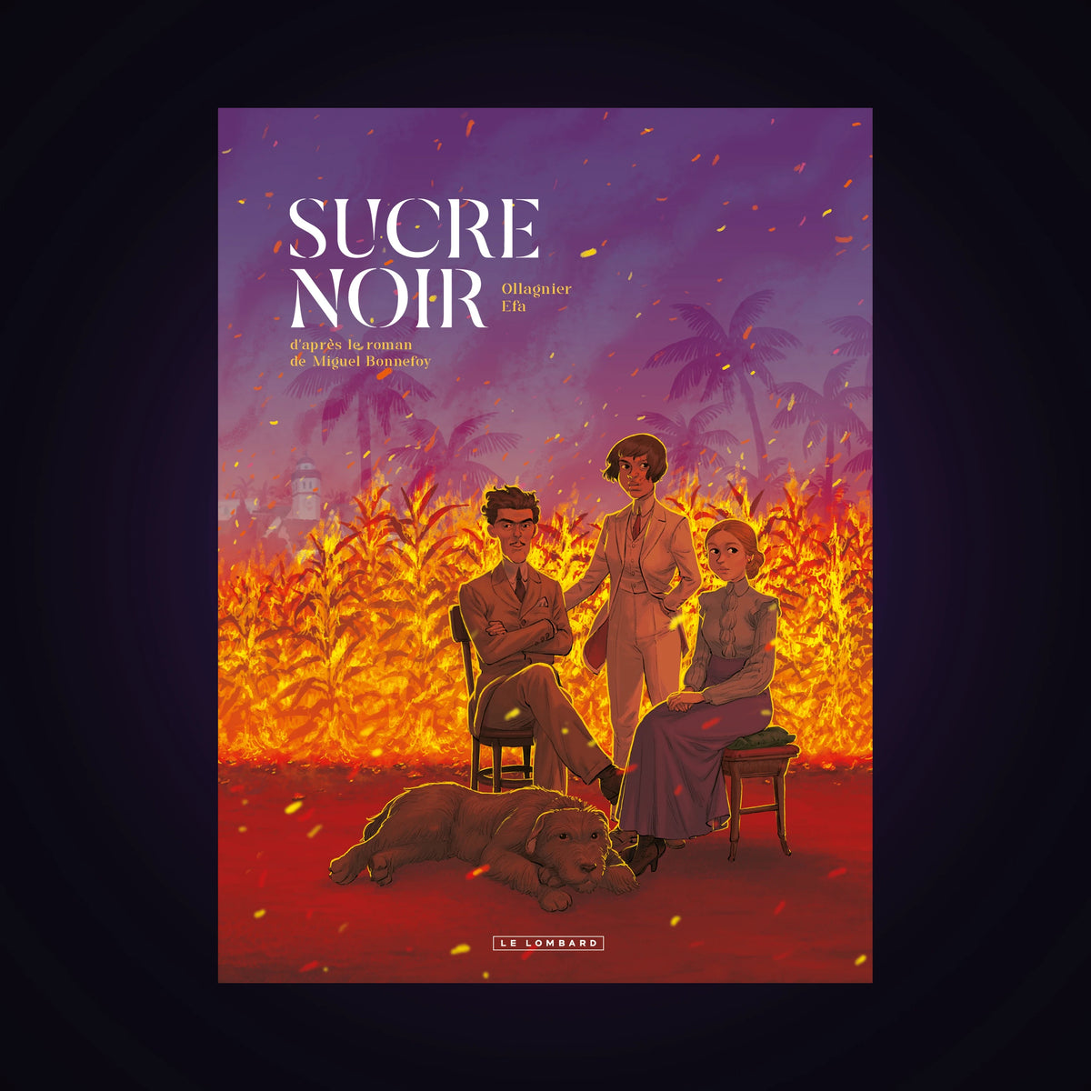 Sucre noir