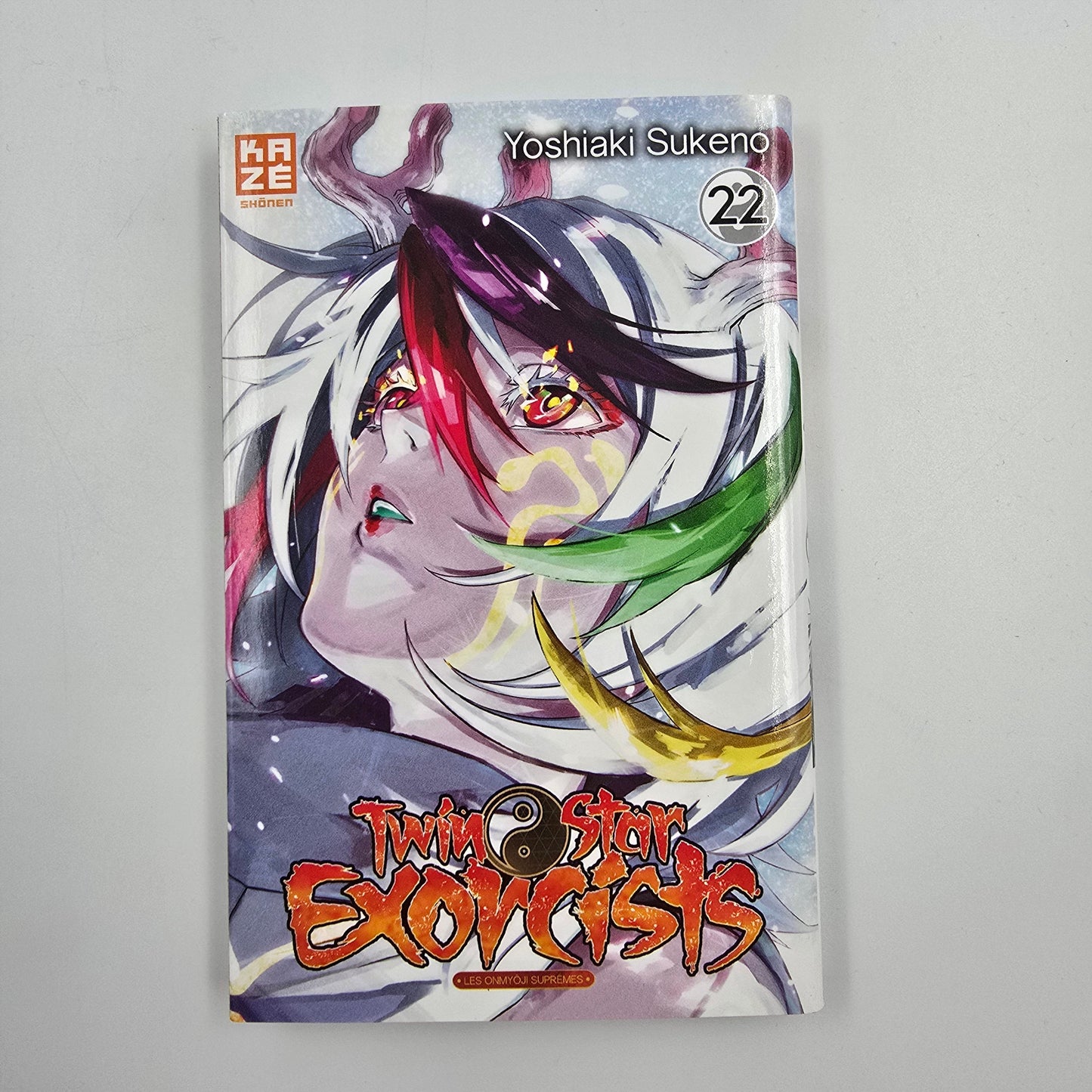 Twin Star Exorcists. Tome 22