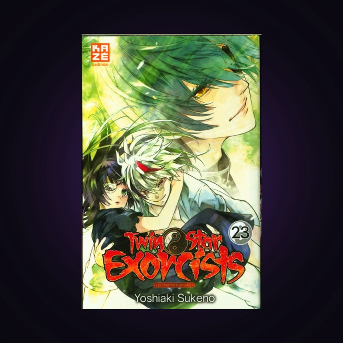 Twin Star Exorcists. Tome 23