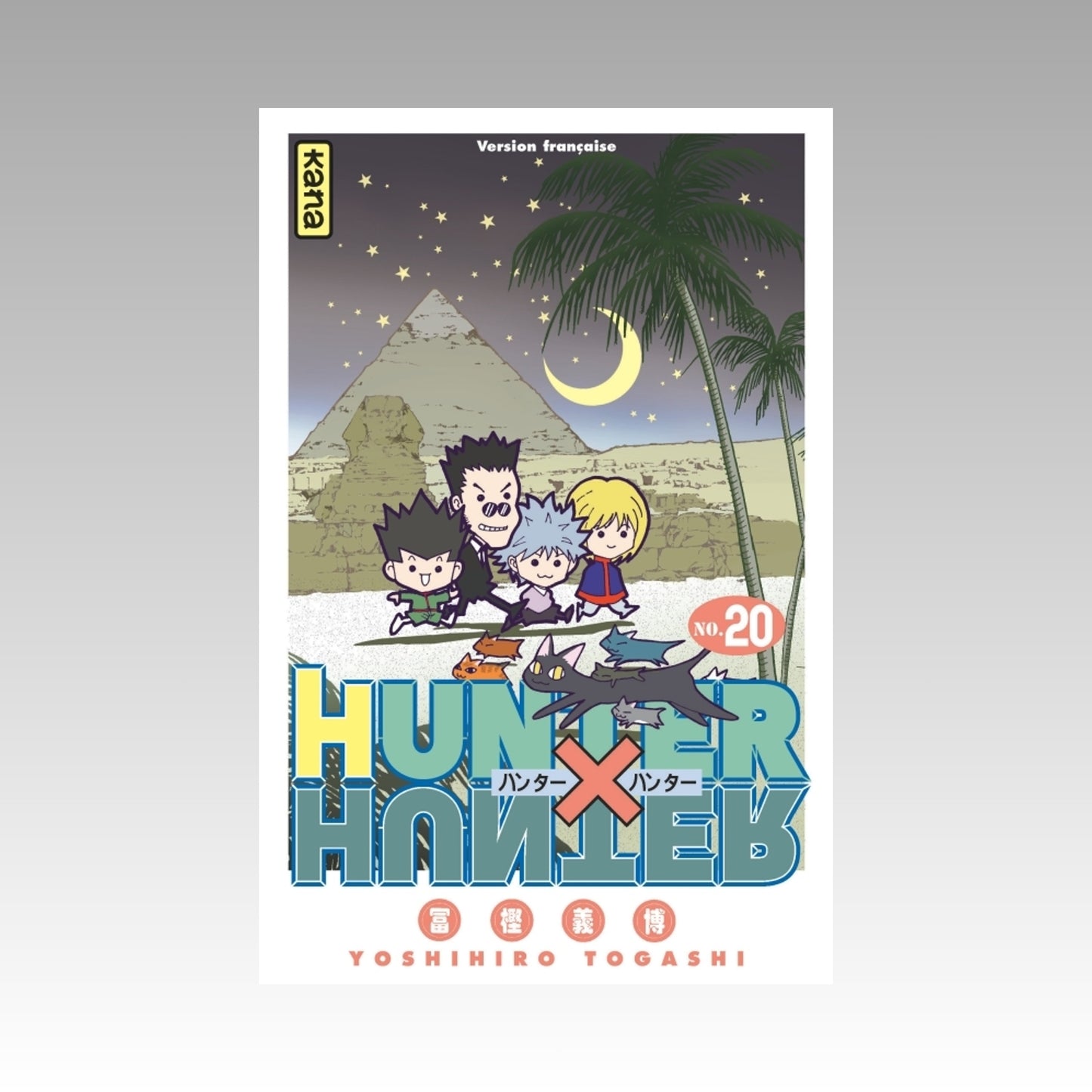 Hunter X Hunter. Tome 20