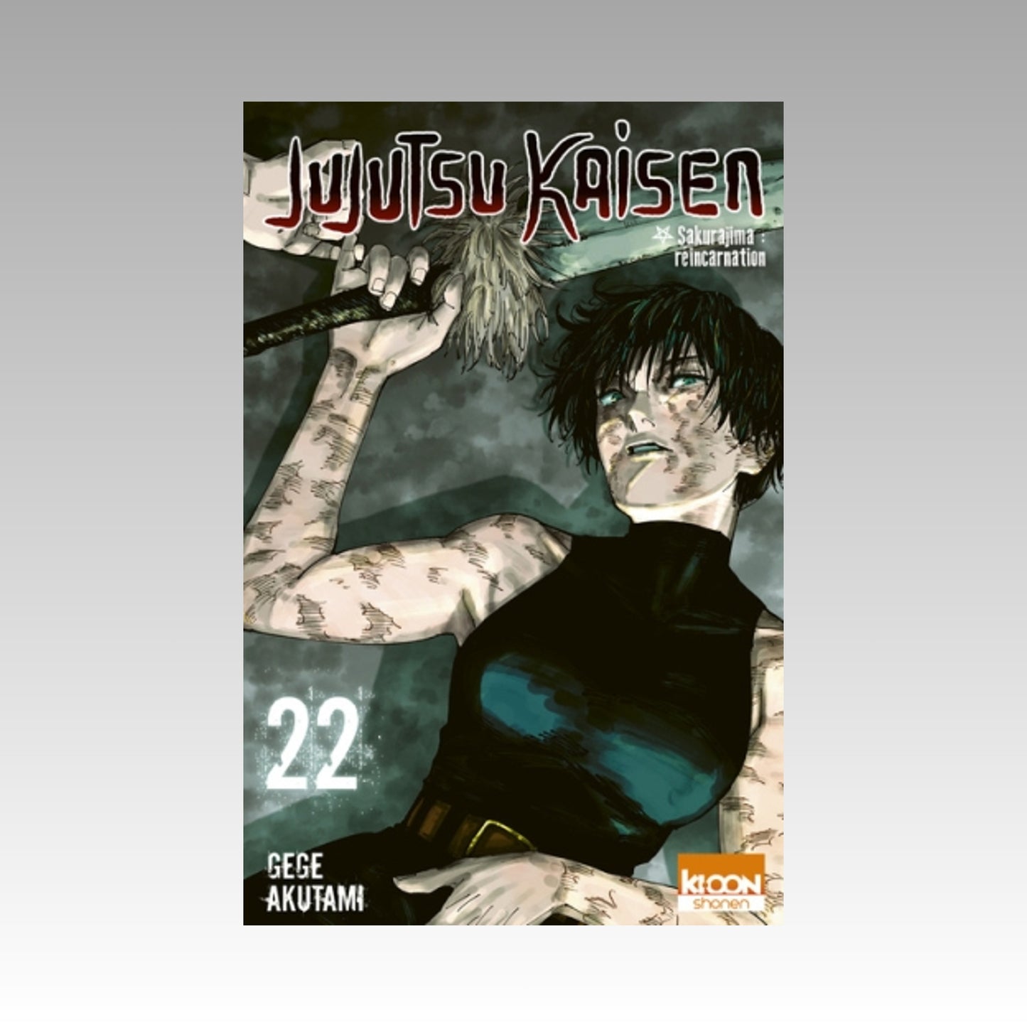 Jujutsu Kaisen. Tome 22