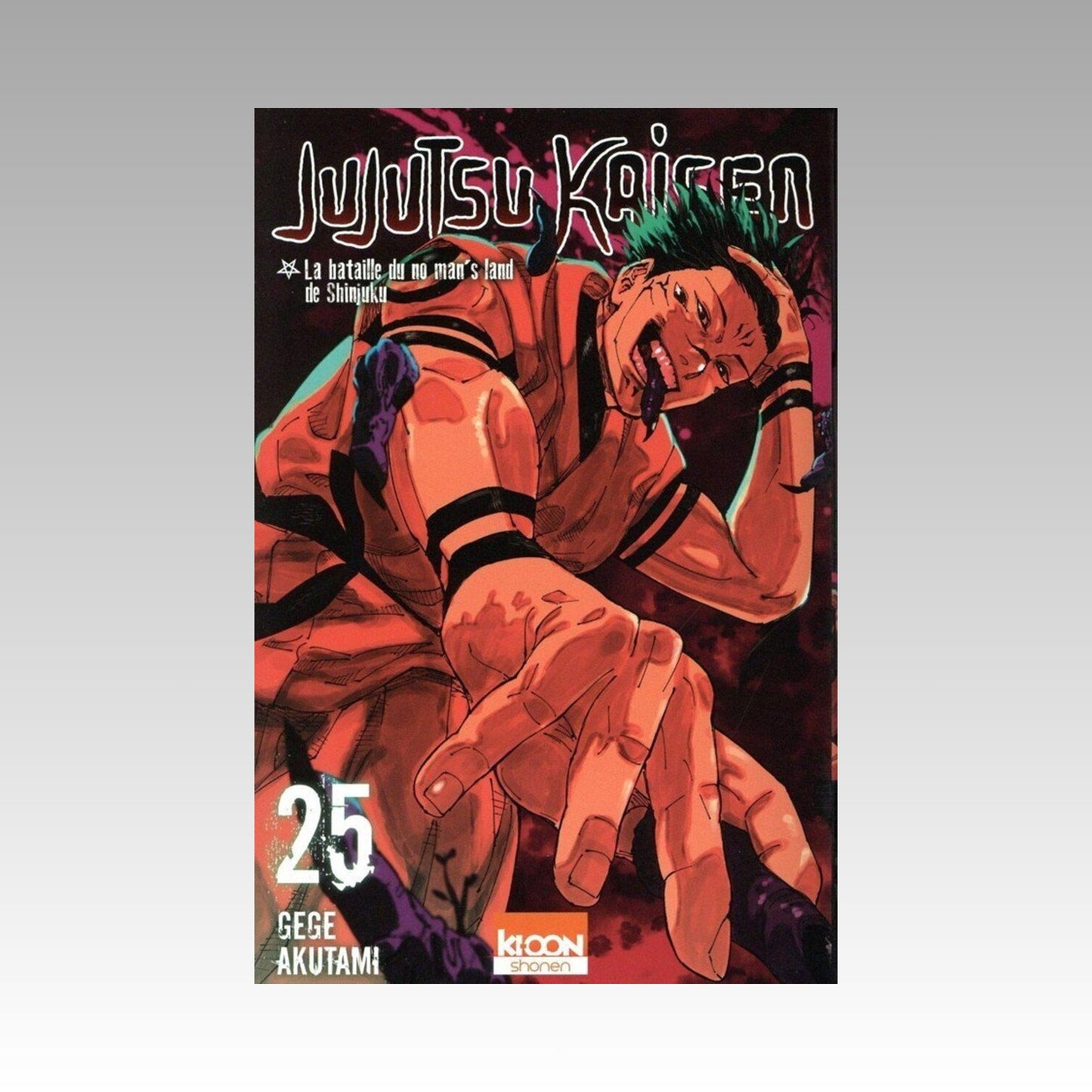 Jujutsu Kaisen. Tome 25