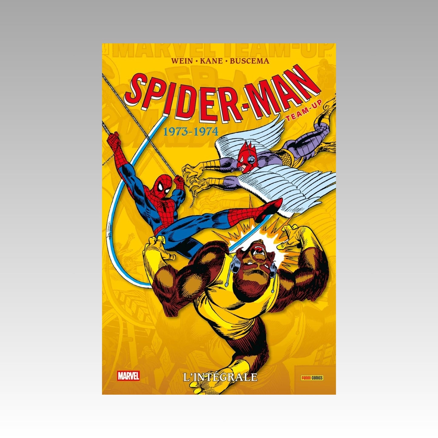 Spider-Man Team Up - L'intégrale 1973-1974. Tome 24