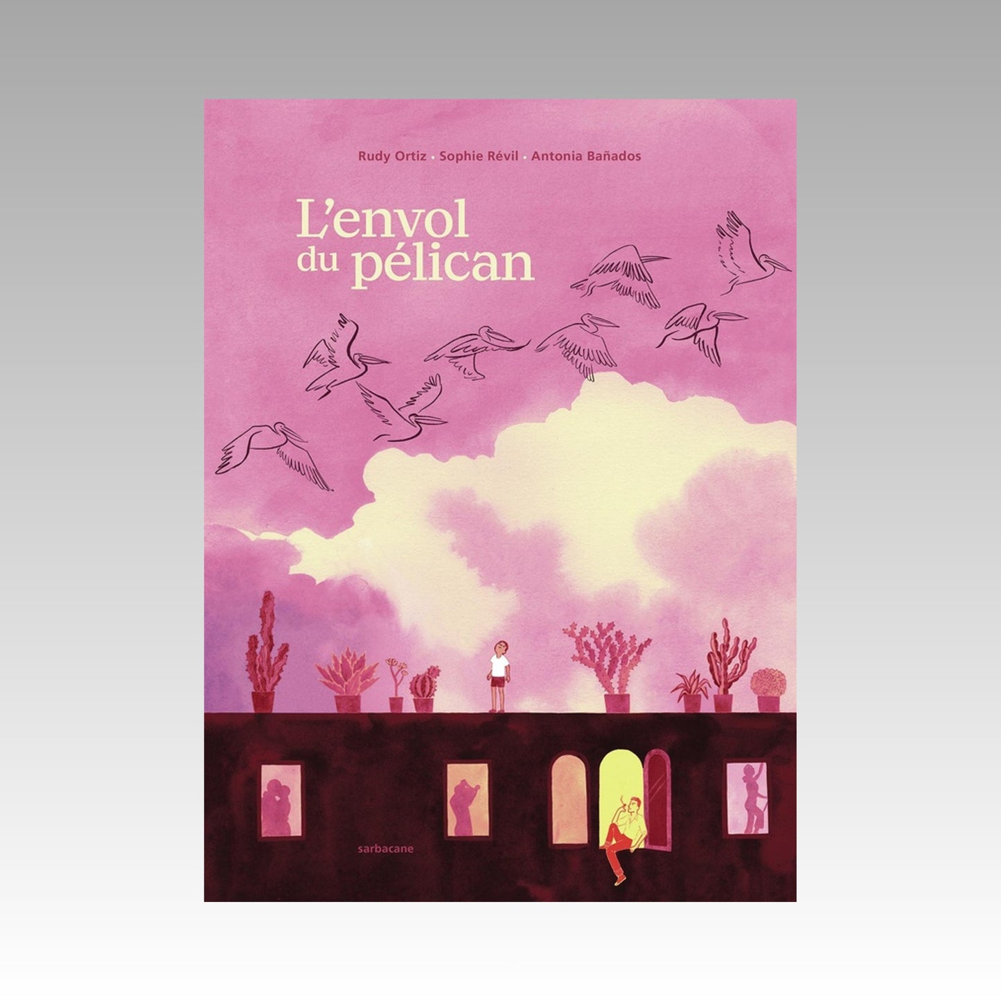 L'envol du pélican