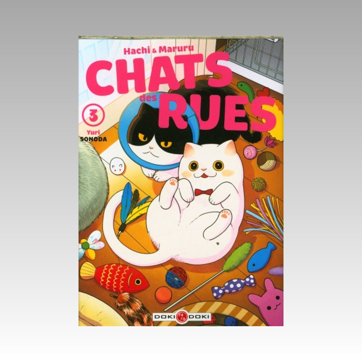 Hachi & Maruru - Chats des rues. Tome 3