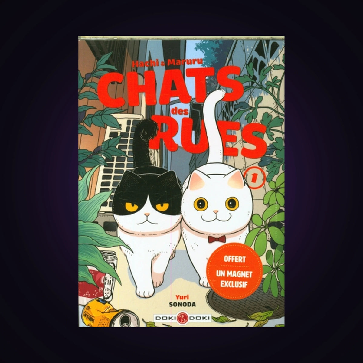 Hachi & Maruru - Chats des rues. Tome 1 + magnet (Édition limitée)