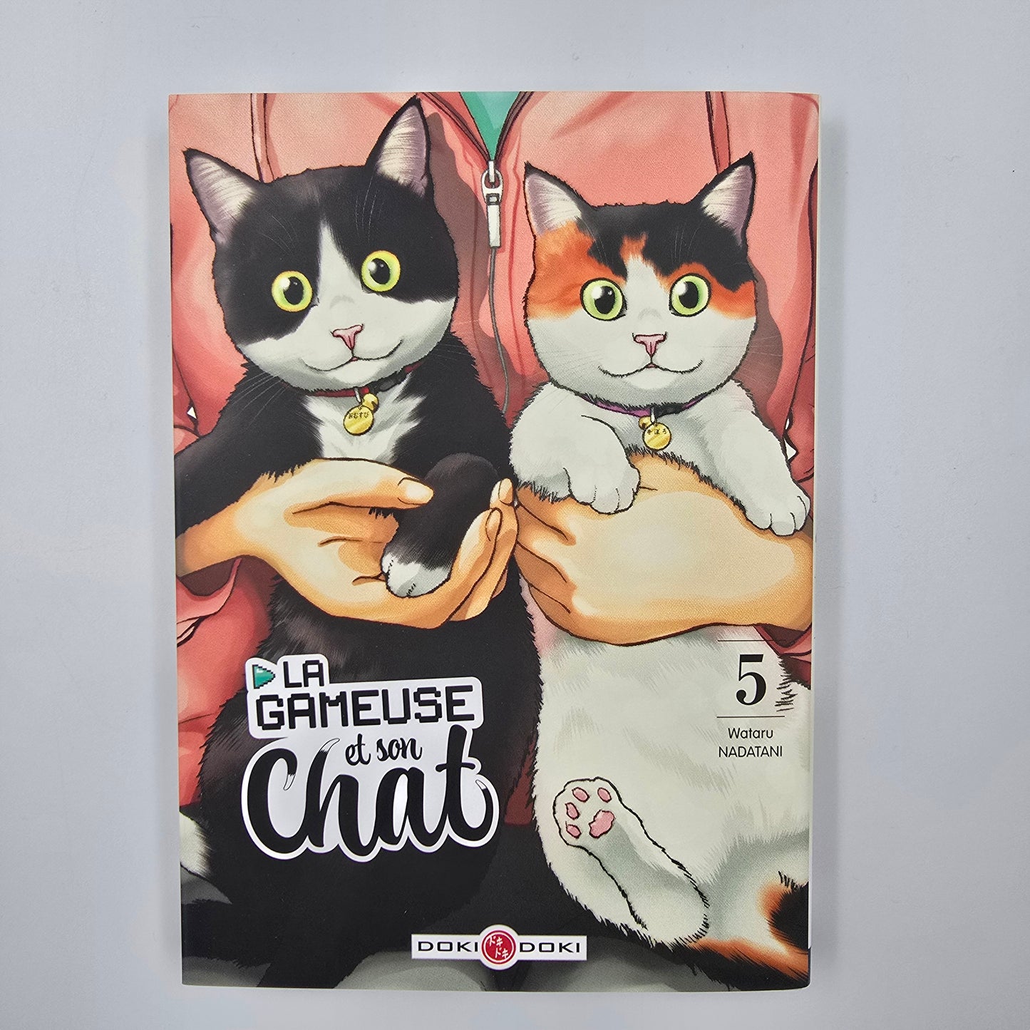 La gameuse et son chat - Manga