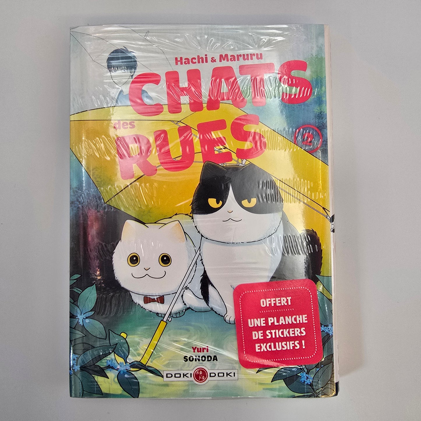 Hachi & Maruru - Chats des rues. Tome 1