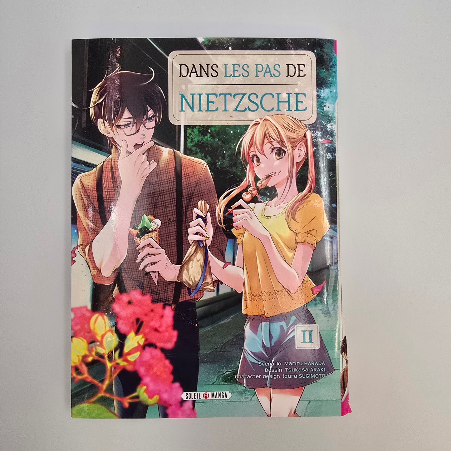 Dans les pas de Nietzsche. Tome 2 (couverture coupée)
