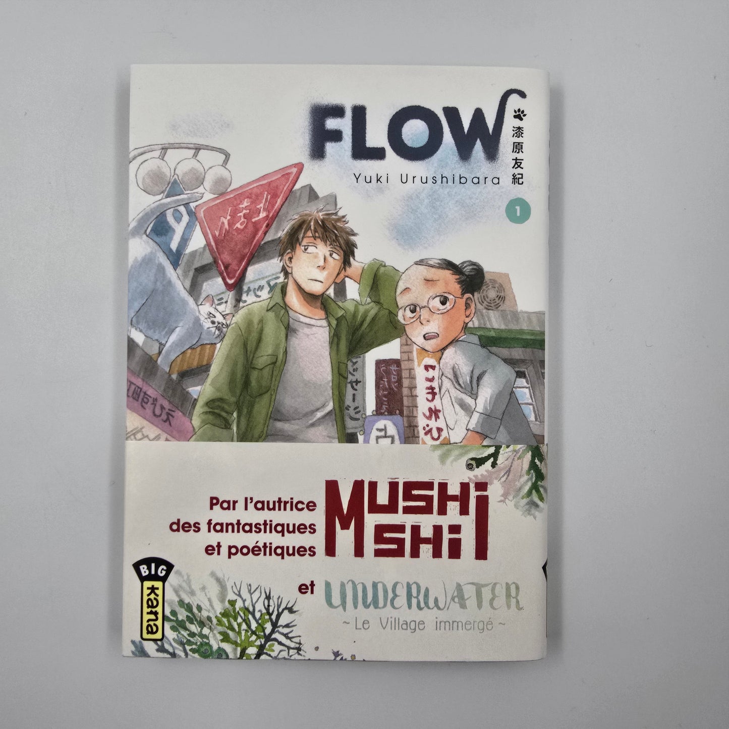 Flow. Tome 1