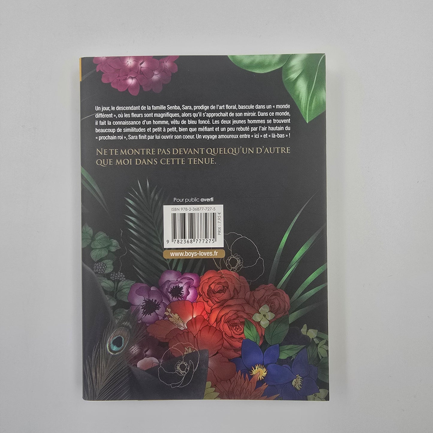 De l'autre côté du miroir - Occasion