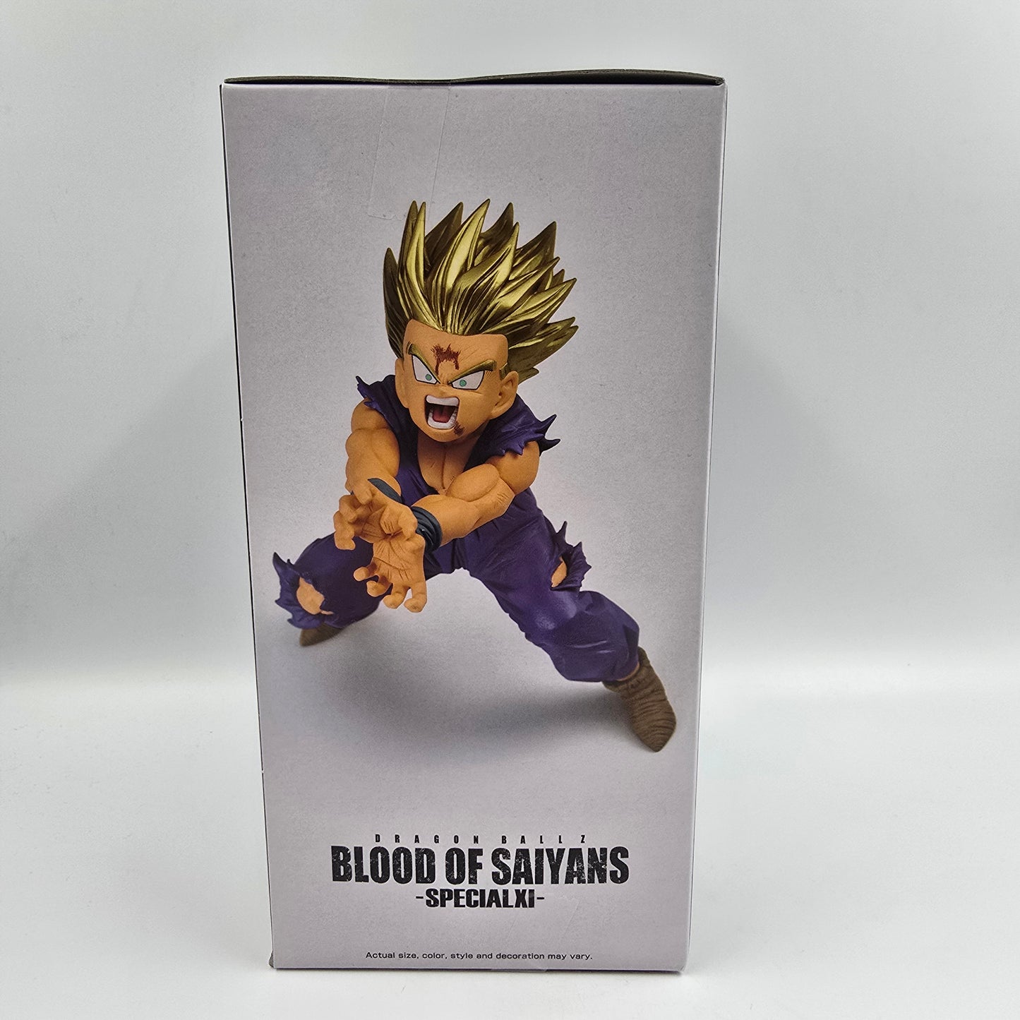 Son Gohan - Blood of Saiyans - Special XI