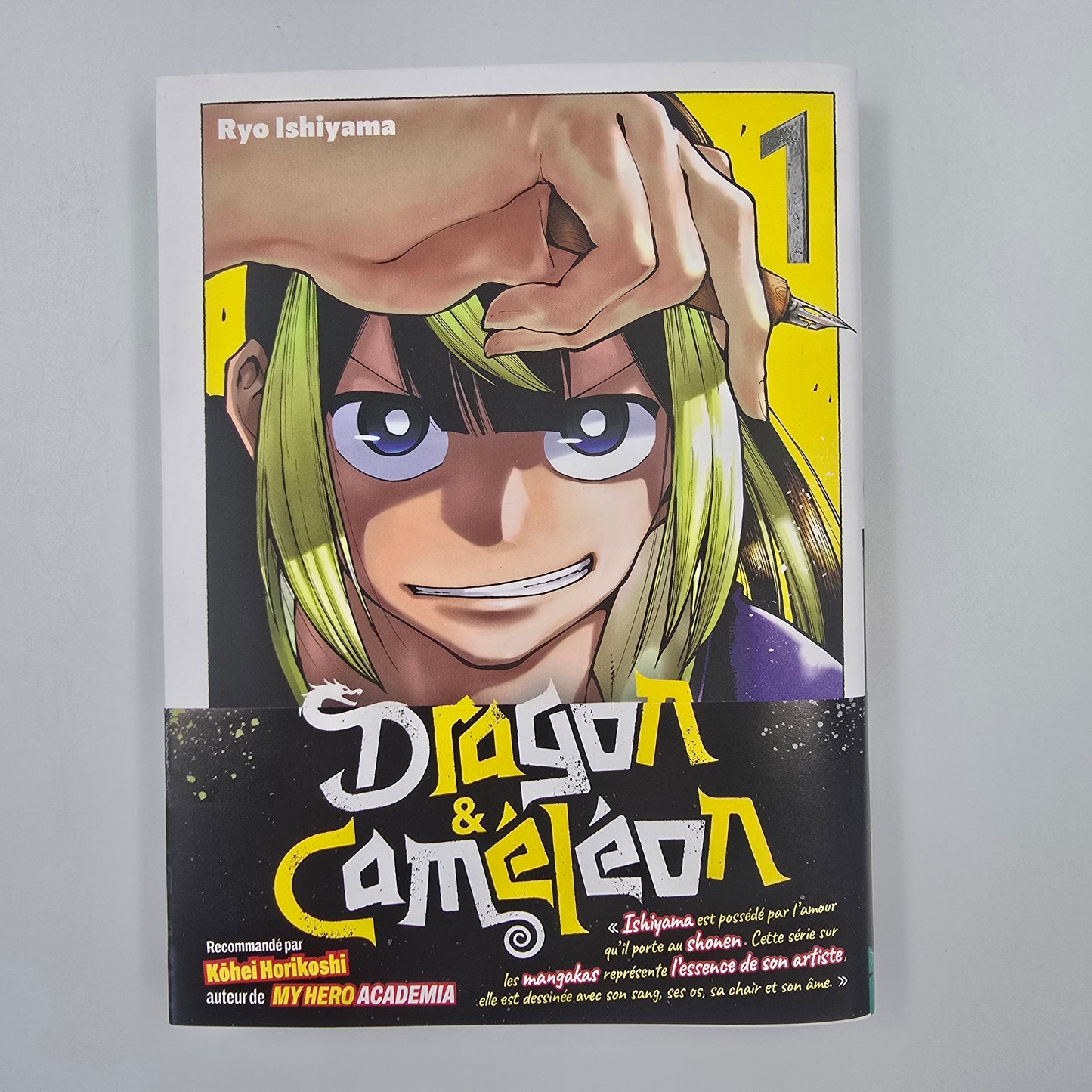 Dragon & Caméléon - Manga