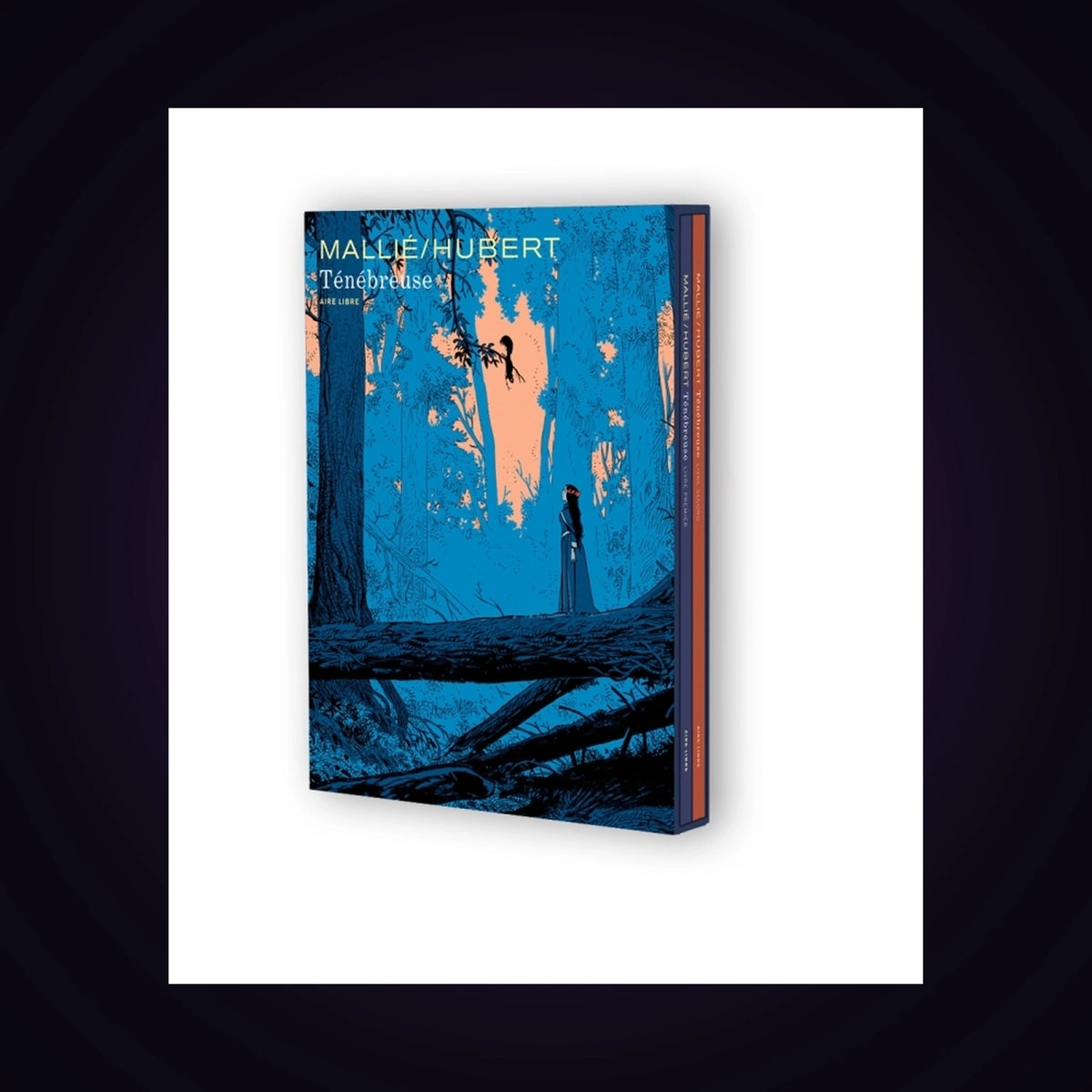 Ténébreuse - Coffret. Tomes 1 et 2