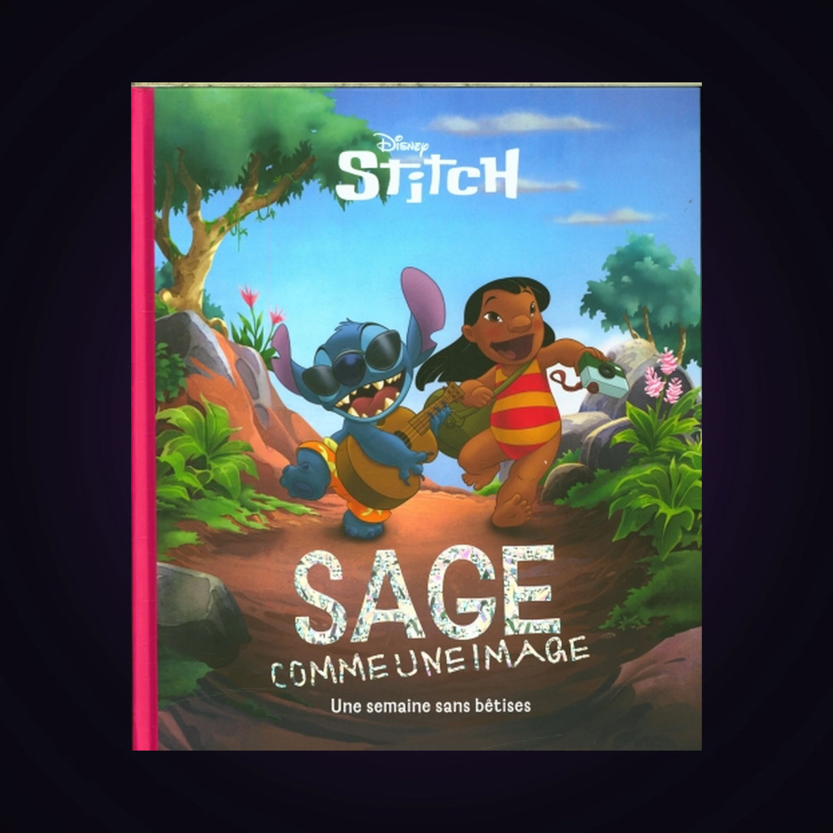 Stitch - Sage comme une image - Une semaine sans bêtises