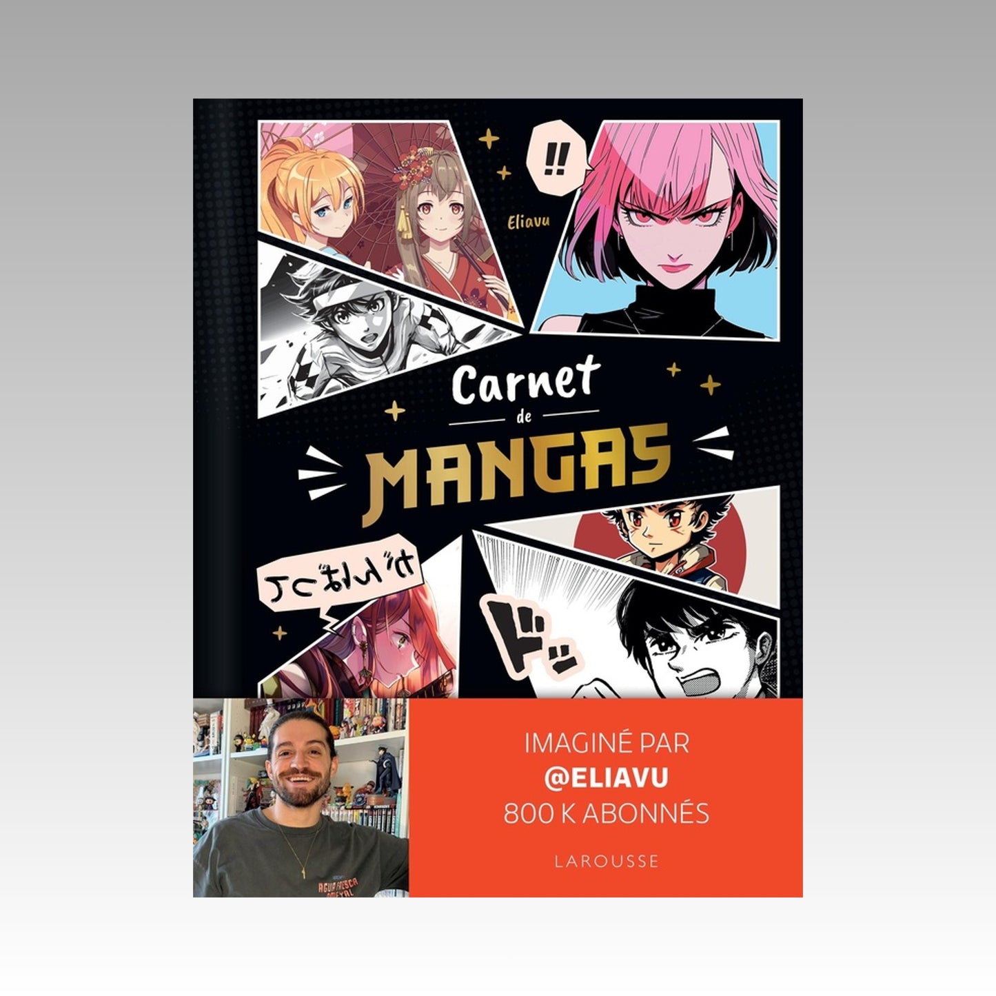 Carnet de mangas