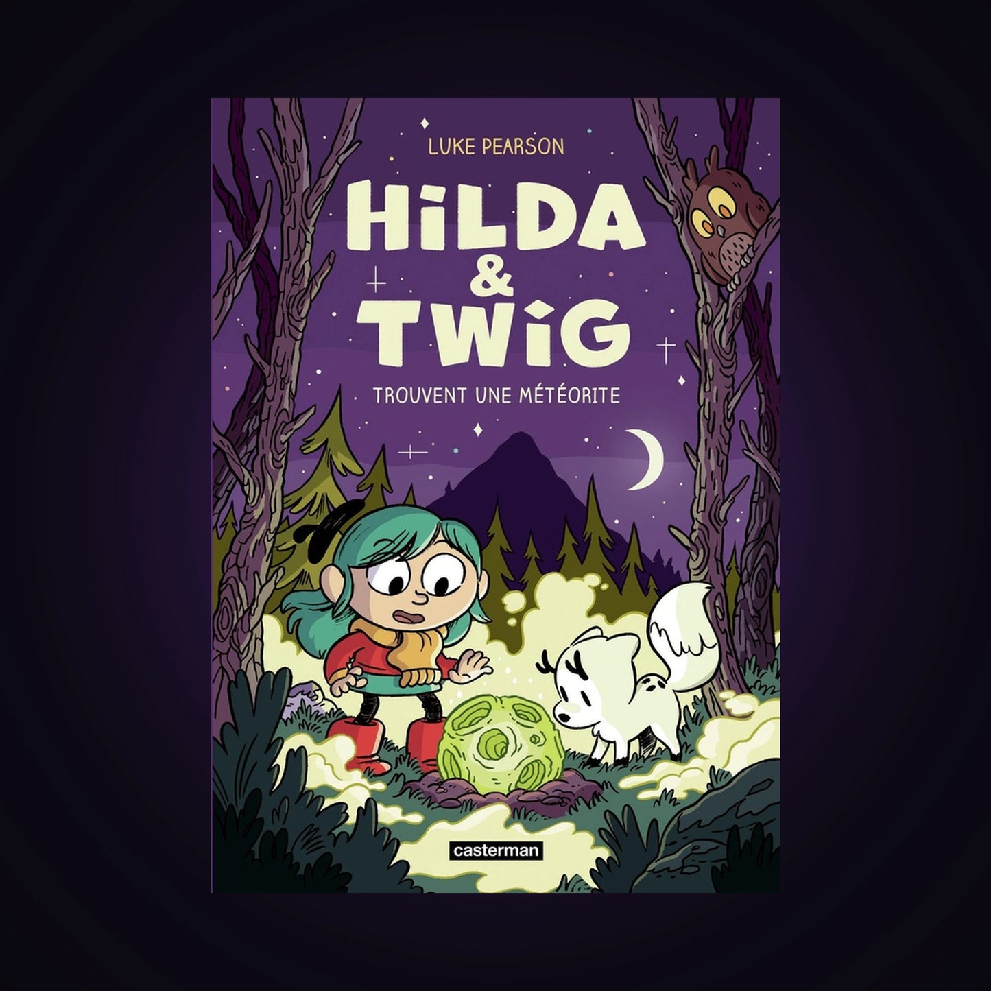 Hida & Twig - Trouvent une météorite