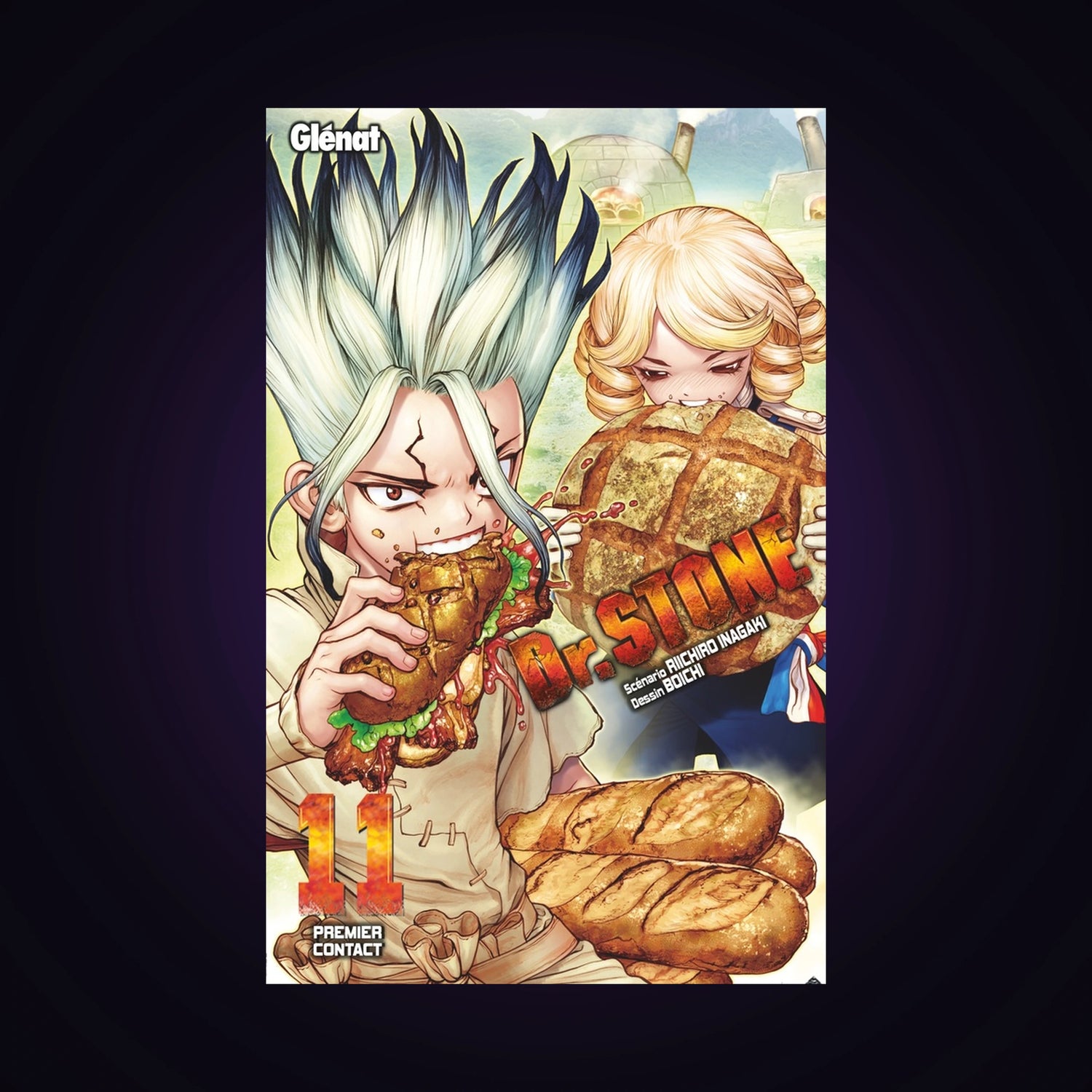 Dr Stone. Tome 11