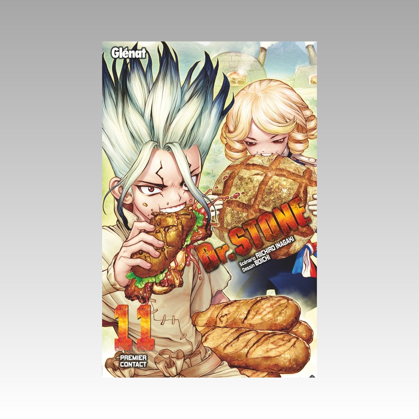 Dr Stone. Tome 11