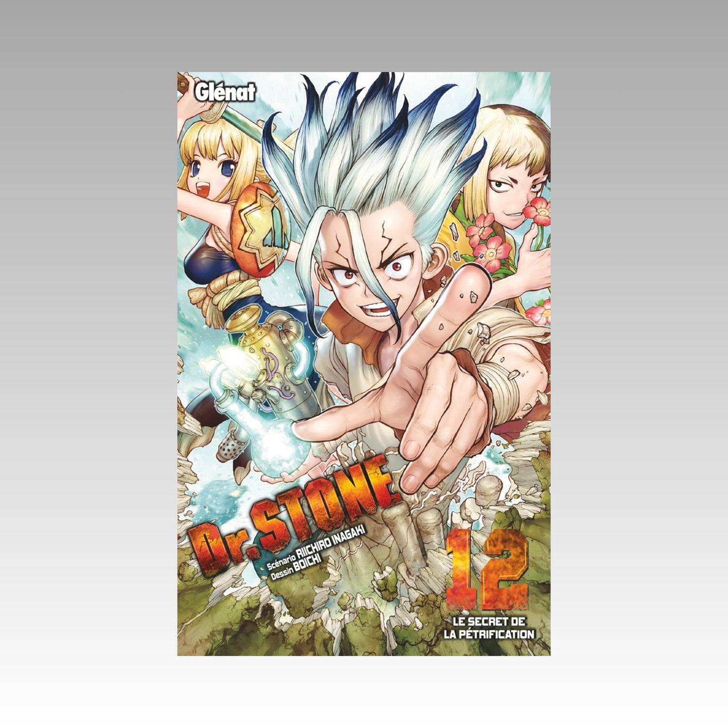 Dr Stone. Tome 12