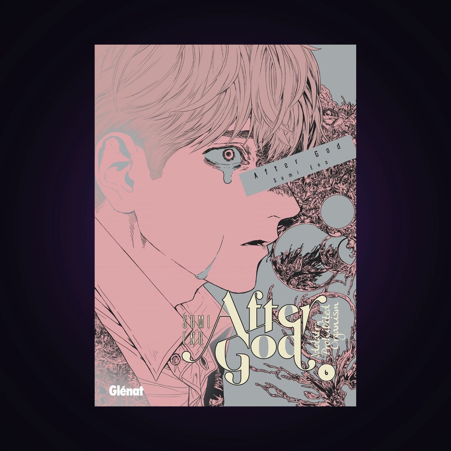 After God. Tome 6