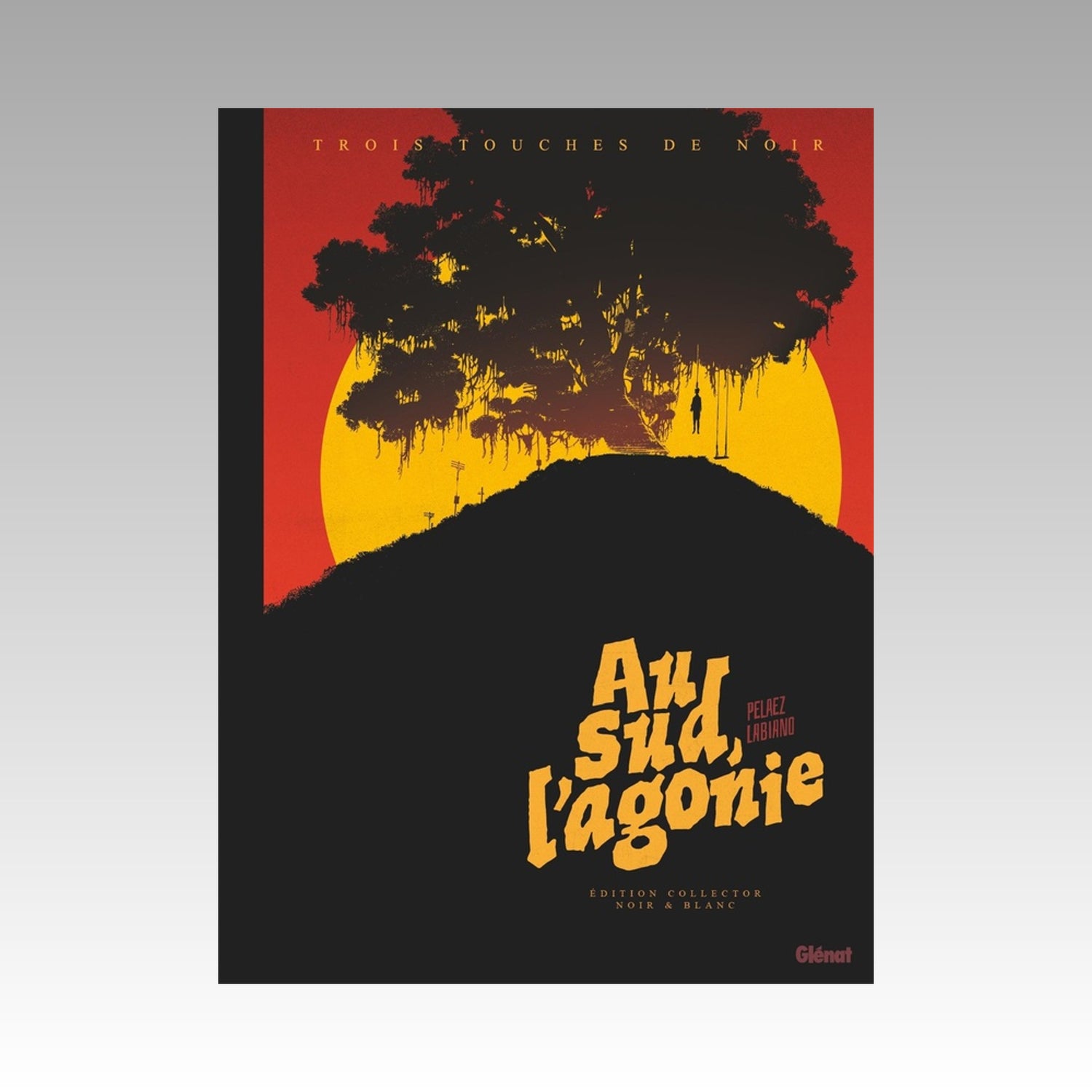 Au sud, l'agonie - Edition noir et blanc