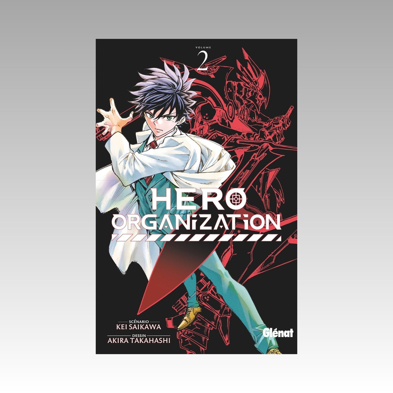Hero Organization. Tome 2