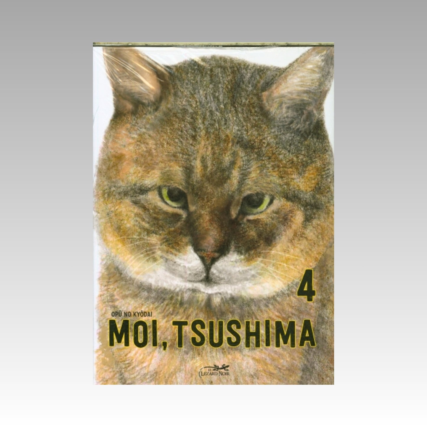 Moi, Tsushima. Tome 4
