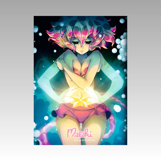 Maliki. Tome 6 Collector - Cristallisation