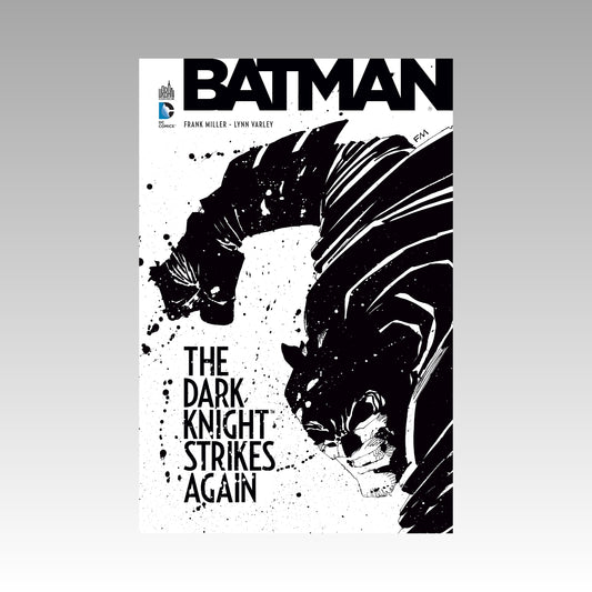 Batman - The Dark Knight strikes again
