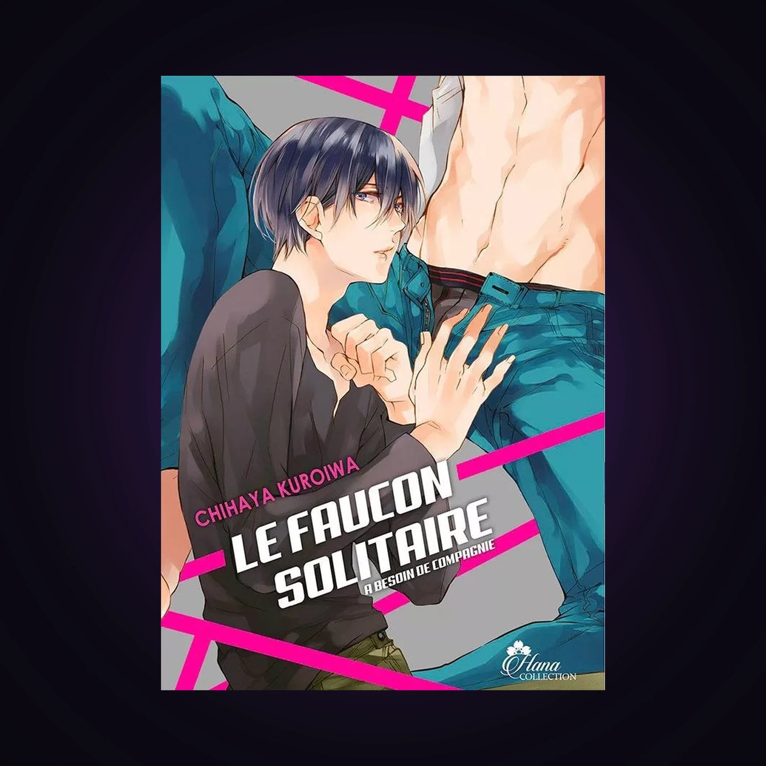 Le Faucon solitaire a besoin de compagnie - Occasion