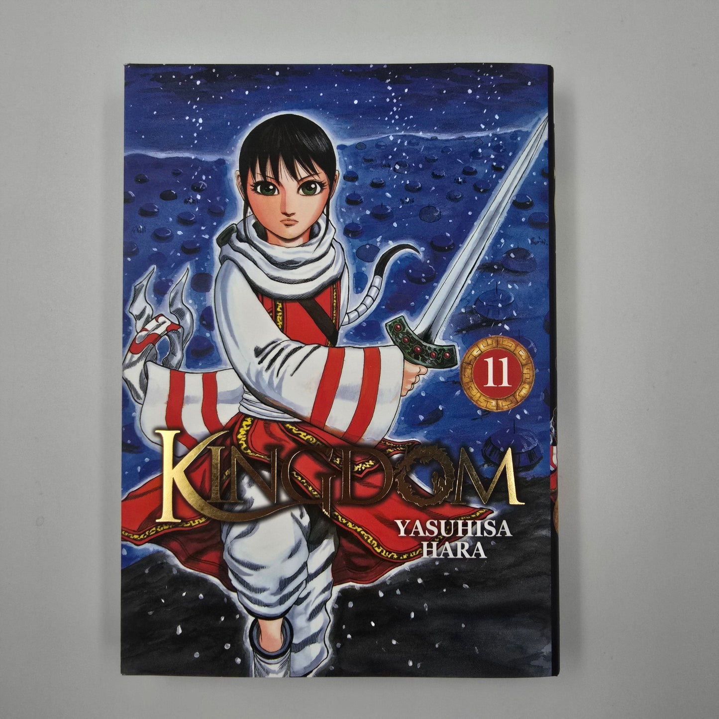 Kingdom. Tome 11