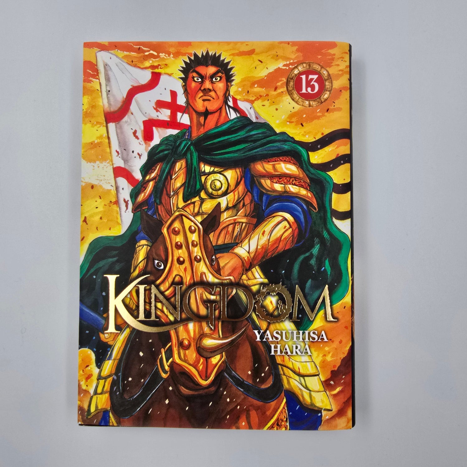 Kingdom. Tome 13