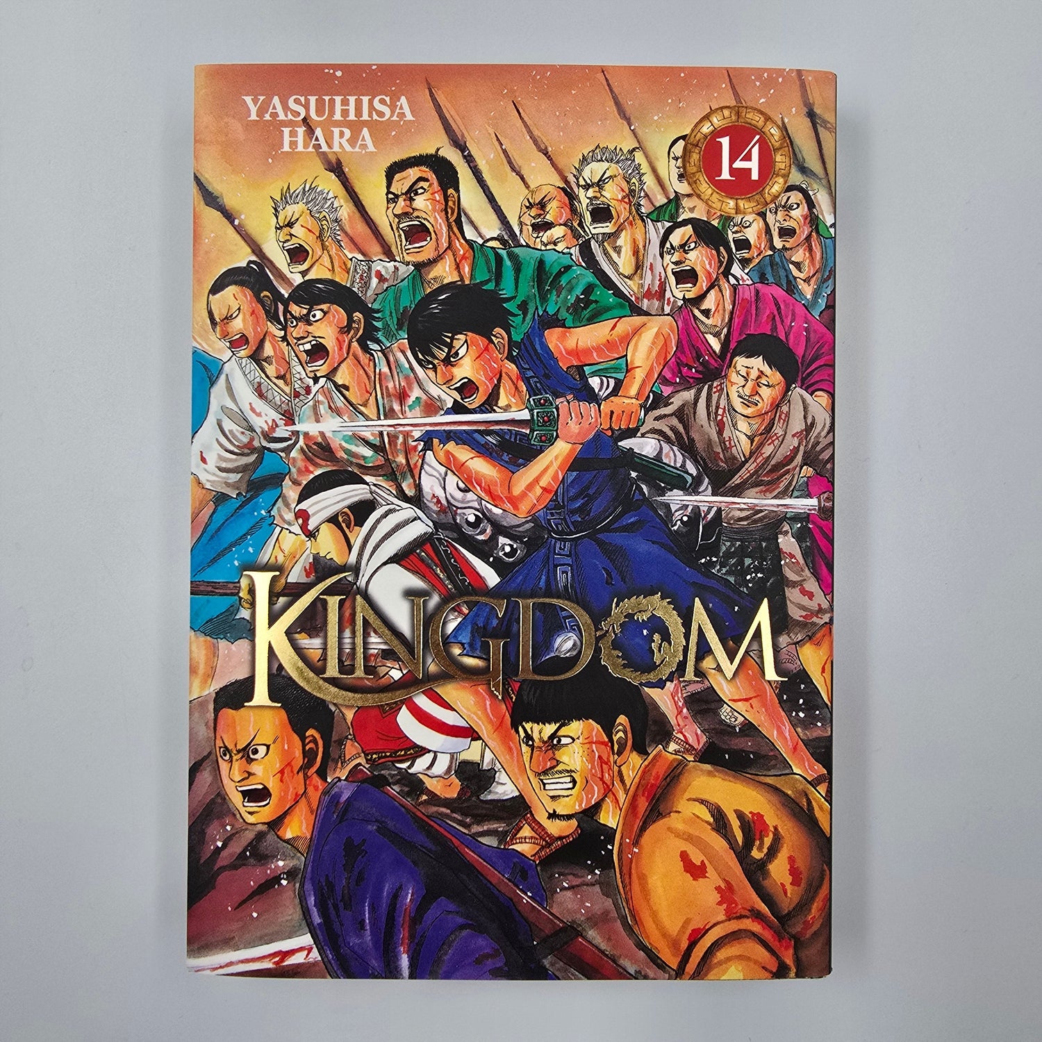 Kingdom. Tome 14
