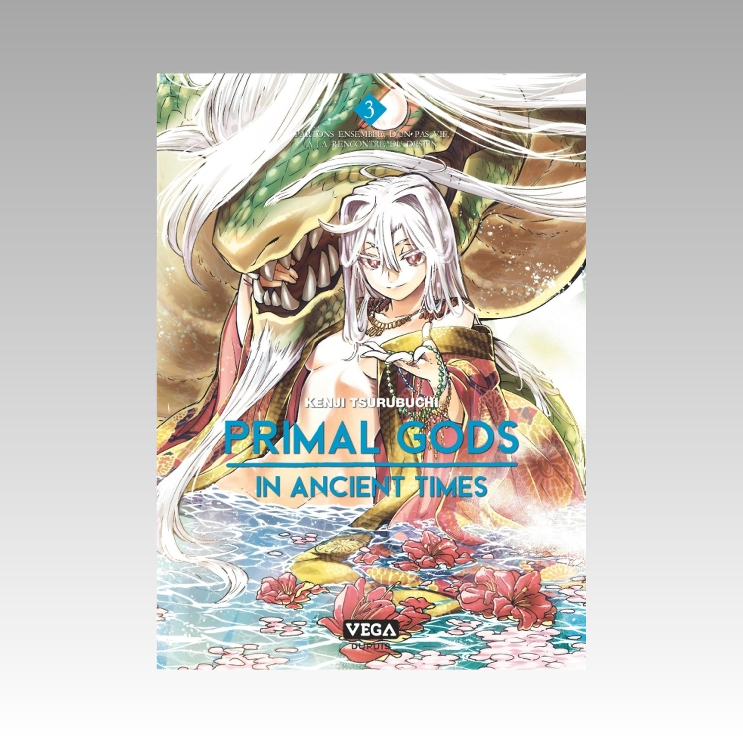 Primal Gods in Ancient Times. Tome 3